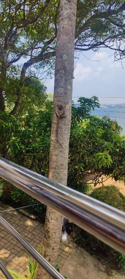 Jungle Beach Restaurant And Hotel-Jbr Galle Eksteriør bilde